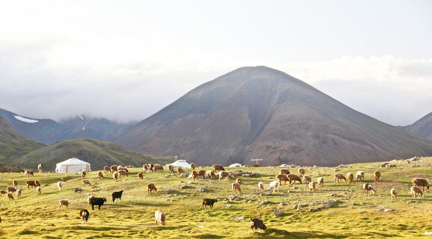 Mongólia
