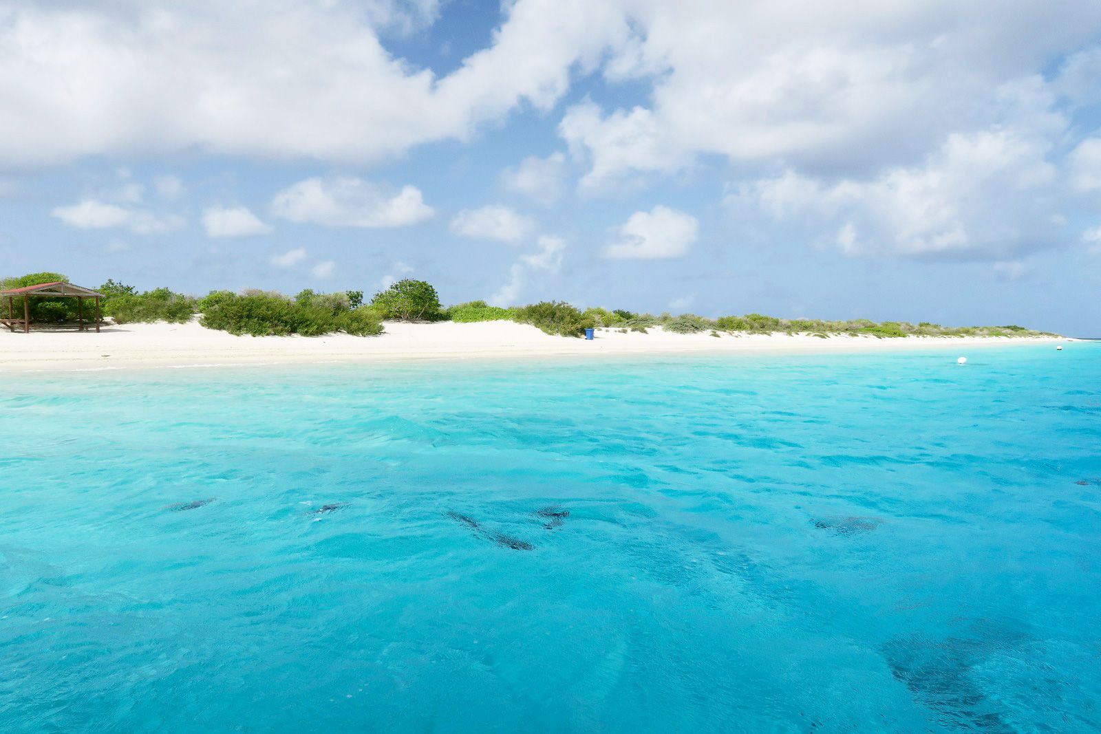 Bonaire, saint Eustatius and Saba eSIM