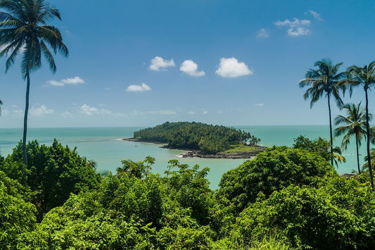 Guiana Franceze